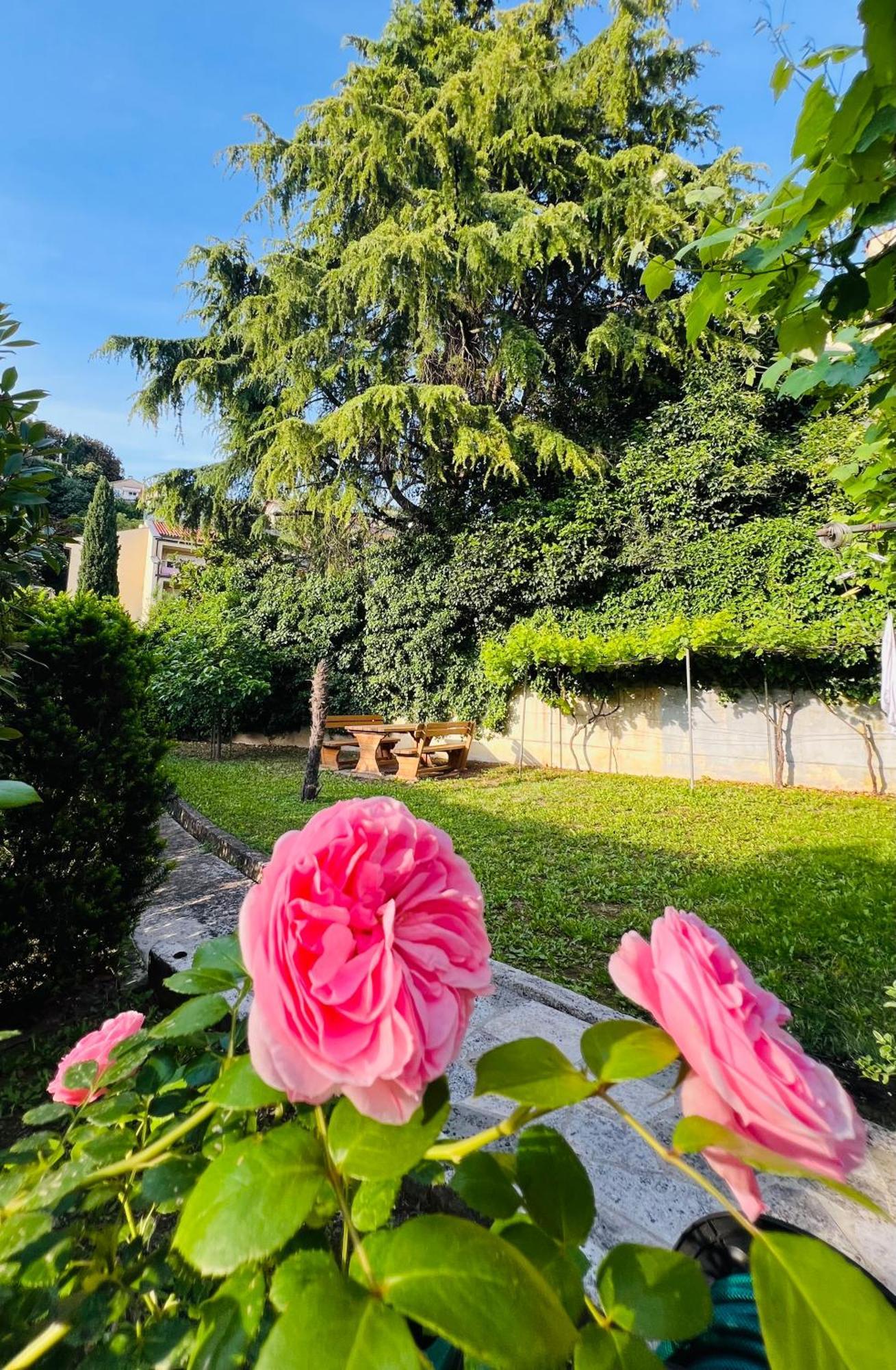 Villa Verde Piran, Authentic Mediterranean Stay Екстер'єр фото